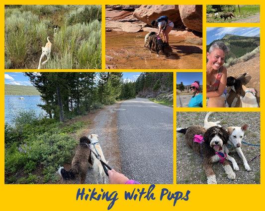 Trail Time With My Pups: What I Wear & What I Pack for Summer Hikes