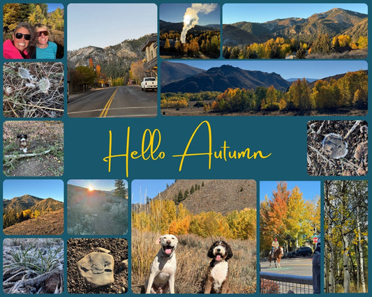 collage of autumn foliage, with dogs and some tall women. text in the middle says "Hello Autumn"